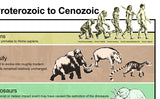Geological Periods Poster