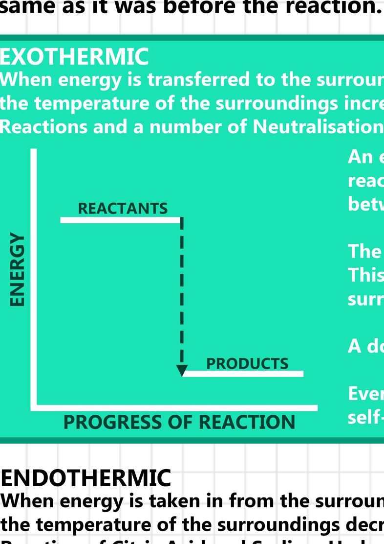 GCSE Science Exothermic & Endothermic Reactions - A2 Poster – Tiger Moon