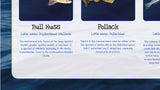 Fish of Britain Poster - Sea Fish