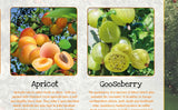 Fruits Poster Healthy Eating (2)
