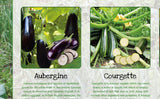 Vegetables Poster Healthy Eating (1)