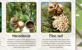Nuts Poster Healthy Eating