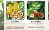 Nuts Poster Healthy Eating