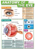 Educational GCSE Biology or General Science poster to support the understanding of the anatomy of the eye.  The poster covers the following areas of study:      A labelled external view of the eye with functions of each part     A detailed cross section showing the anatomy with an explanation of function     The workings of the pupil in different light conditions     The retina structure and how the retinal cells enable vision