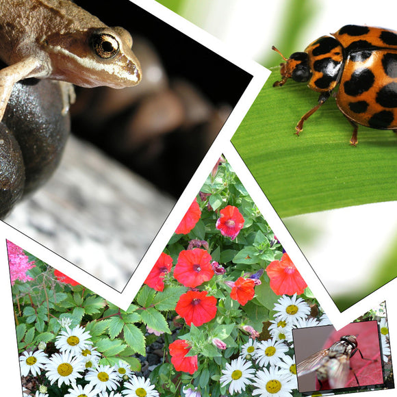 Early Years Photo Packs & Downloads