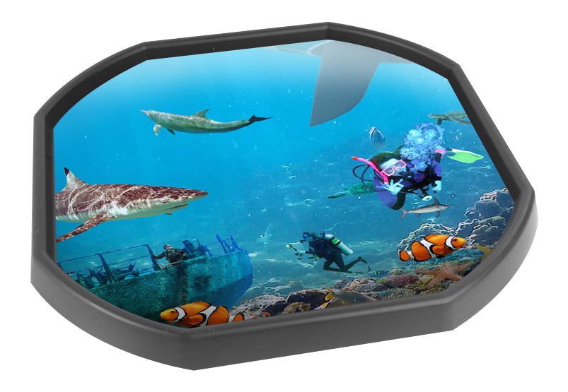 Tuff Inserts LUCKY DIP - MINI TUFF TRAY INSERTS – Tiger Moon