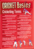 Set of x10 A3 Cricket Posters