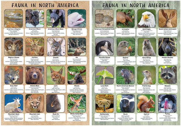 Fauna of North America Poster set of x2 A2
