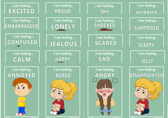 Emotion flash cards - A5 - Set of 20 Laminated
