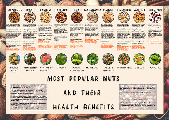 Popular Nuts Poster