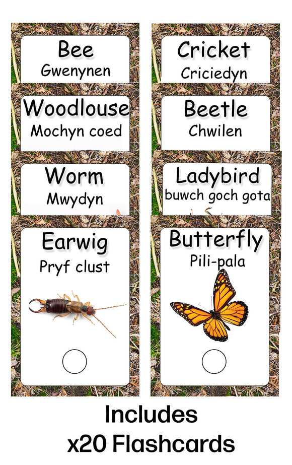 MiniBeasts Wipeable Flash Card Set - English and Welsh