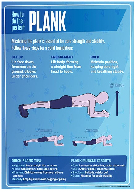 Physical Education - Plank - A2 Poster