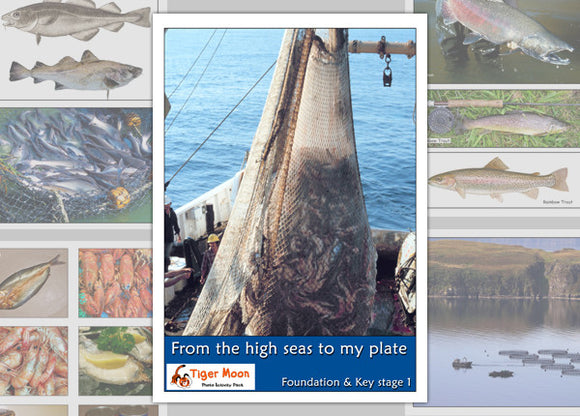 From the High Seas to My Plate Photo Pack Digital Download