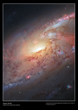 Galaxy M106 [DS10]