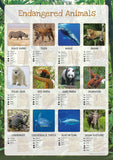 Endangered Animals Poster