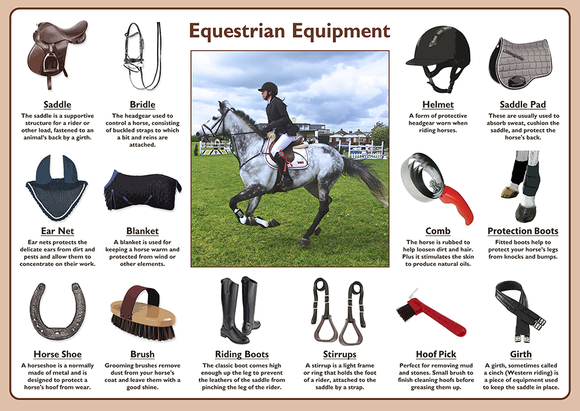 Equestrian Equipment Poster