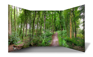 A classroom or nursery scene setter of a vibrant beautiful green forest and path, complete with hidden forest animals and plants for children to find! Great for immersive and imaginative role play.  The freestanding scene setter can be used inside & outside. Made from lightweight correx which is easy to clean and waterproof. The scene setter folds away easily for storage and folds out simply and quickly for set up.