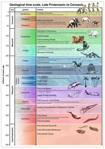 Geological Periods Poster
