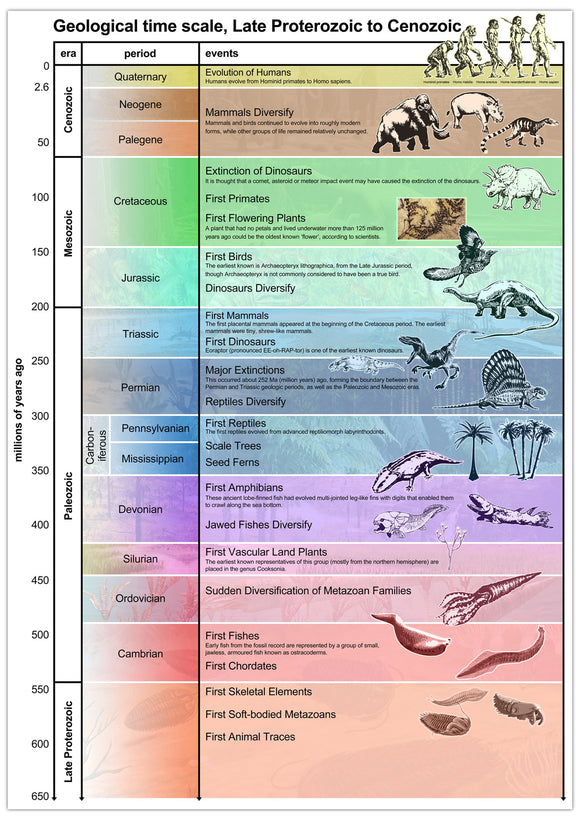 Geological Periods Poster