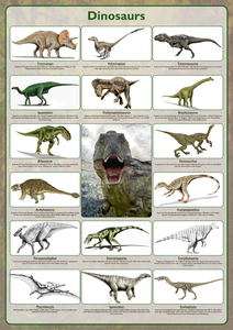 Dinosaur Species Poster