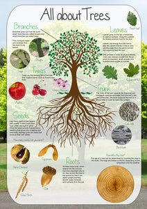 All about Trees Poster
