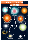 GCSE Science poster to support the study and revision of the life cycle of a star. This poster shows the many steps involved in a stars evolution, from its formation in a nebula, to its death as a white dwarf or neutron star. A nebula is a cloud of gas (hydrogen) and dust in space.