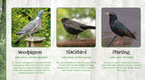 Birds of Britain Poster - Common Garden Birds
