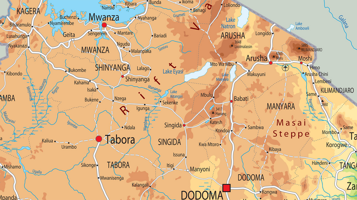 Tanzania Physical Map – Tiger Moon