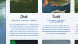 Fish of Britain Poster - Rivers and Lakes