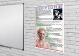 GCSE English posters to support the understanding of Lord of the Flies by William Golding.  This pack includes posters on:      Form Structure and Language     Jack     Minor Characters     Piggy     Plot Summary     Ralph     Roger     Simon     The Island     Themes