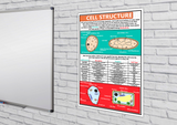 Educational GCSE Biology or General Science poster to support the understanding of cell structure required.  Cells are the building blocks of all living organisms, each made up of millions of units called cells. The poster covers the following areas of study:      Unicellular Structures: Yeast (fungal) cells and bacterial cells     Multicellular Structures: Plant and animal cells     The individual structures that make up a cell including their functions