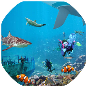 The Under Water World mat is ideal for use with a Tuff Tray. Spot and name the sealife and add your own water and aquatic toys for more fun! Dive among the coral reef with the fish. Ideal for imaginative and messy play for individuals and small groups. Designed to fit in the Tuff Tray or the Tuff Spot.