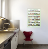 Popular Breeds of Horses Poster