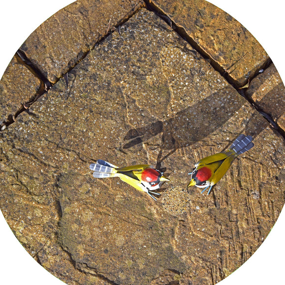 Two hungry birds came to visit the garden, looking for food! This mat is ideal for use with a Tuff Tray. Put out water for them and learn what foods are suitable to feed the two hungry birds and attract more. Designed to fir in the tuff tray or tuff spot.