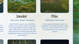 Fish of Britain Poster - Rivers and Lakes