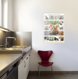 Popular Breeds of Cats Poster
