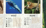 Endangered Animals Poster