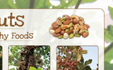 Nuts Poster Healthy Eating