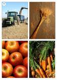 Harvest Photo Pack Digital Download