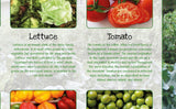 Vegetables Poster Healthy Eating (1)