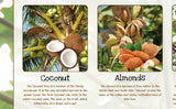 Nuts Poster Healthy Eating