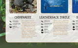 Endangered Animals Poster