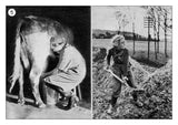 World War II: Home Front Photo Pack