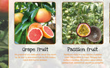 Fruits Poster Healthy Eating (2)