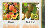 Fruits Poster Healthy Eating (1)