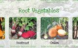 Vegetables Poster Healthy Eating (2)