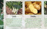 Vegetables Poster Healthy Eating (2)