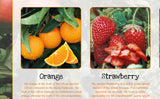 Fruits Poster Healthy Eating (1)
