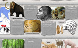 Stone Age Poster