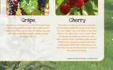 Fruits Poster Healthy Eating (1)